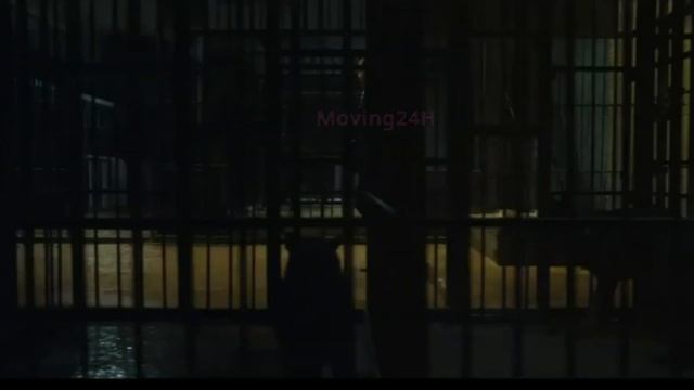 【MOVING 24h5月31日】#王一博海外影响力好顶，#tiktok播放量破120亿 #wangyibo #cbiz смотреть онлайн