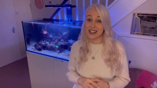Redsea Reefer 350L Tank Update for Mixed Reef tank смотреть онлайн