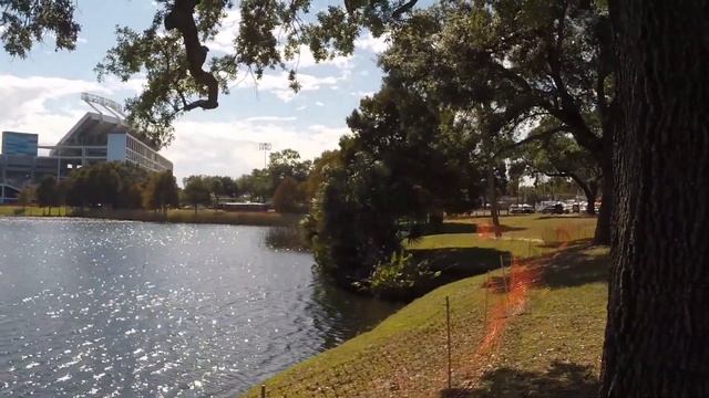 Orlando fl : citrus bowl stadium 11/21/2014 смотреть онлайн