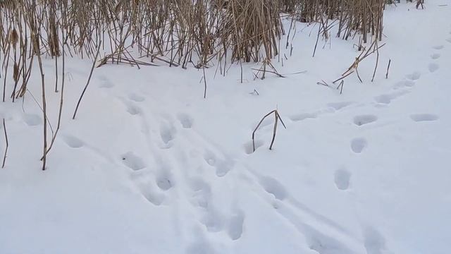 О чём расскажет Рассказань?