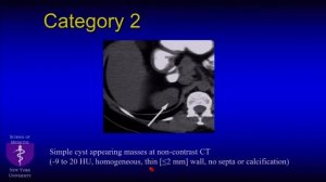 Revising the Bosniak Classification-- Nicole Hindman, MD (SABI 42nd Annual Course)