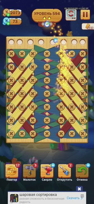 0594 level_screw puzzle (falcon)_Screen_Recording_20250204_225701_Parallel Space