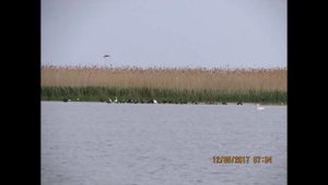 Воскресеновка.110-15 мая 2017года с музыкой