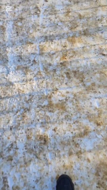 Добро пожаловать, весна! / парк "Ботаника" / река Ока #весна #весна2025 #природа #ока #nature