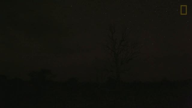 Using Mobile Phones to Empower India's Poor | National Geographic смотреть онлайн