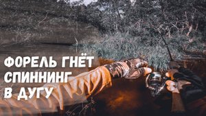 Форелевая рыбалка в Карелии. Нашли форелевое эльдорадо. Трофейная форель гнет спиннинг в дугу!