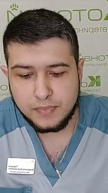 инвагинация кишечника у животных смотреть онлайн