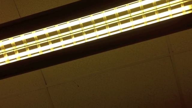 A Teen's Guide To Autism смотреть онлайн