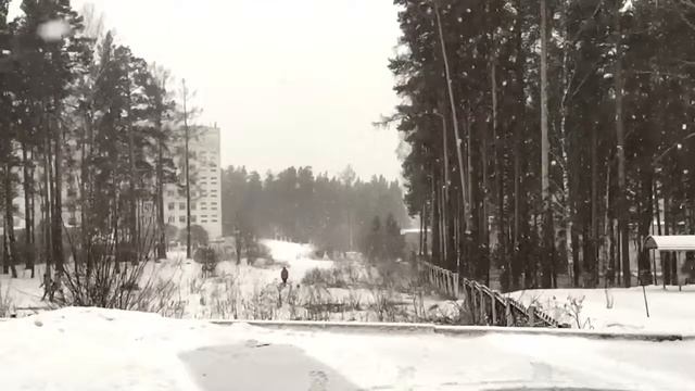 Утро | Трехгорный