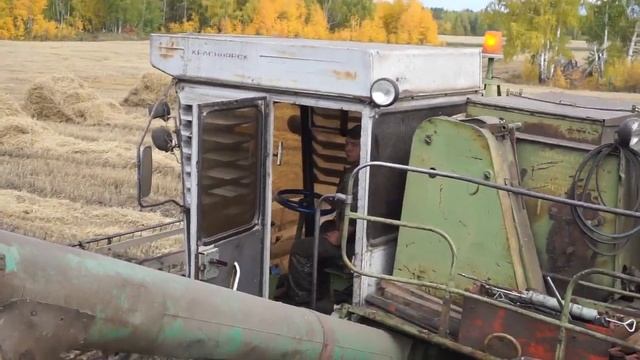 Уборка урожая зерновых в Денисовском совхозе смотреть онлайн