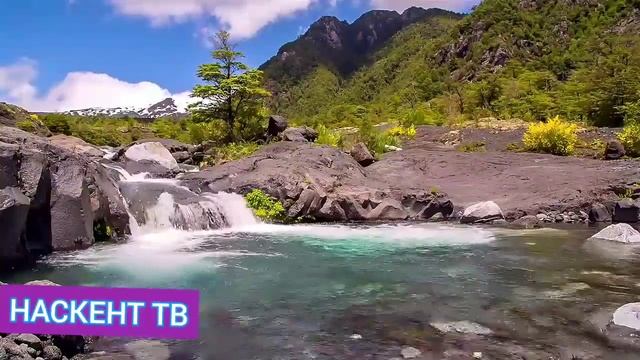 ТУЛКИ-ЭЛАР КАЛУНТАС БАРХIИ ГIЯХIБИРАБ смотреть онлайн