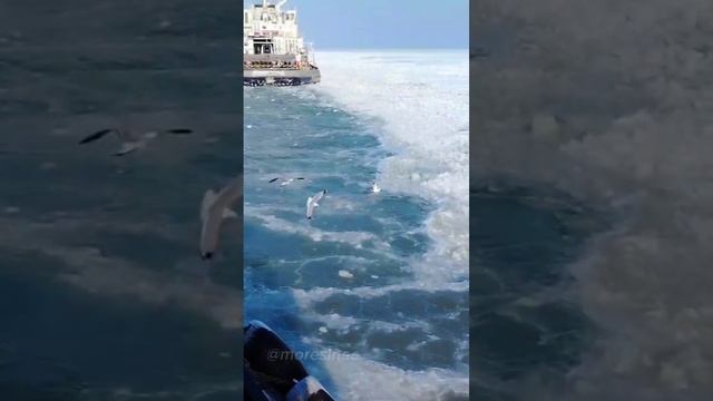 Ледокол «Крутов» начал проводку судов через замерзшую часть Азовского моря