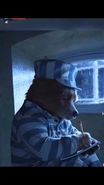 Паддингтон тюрме#фильмы#shorts#лутшиефильмы смотреть онлайн