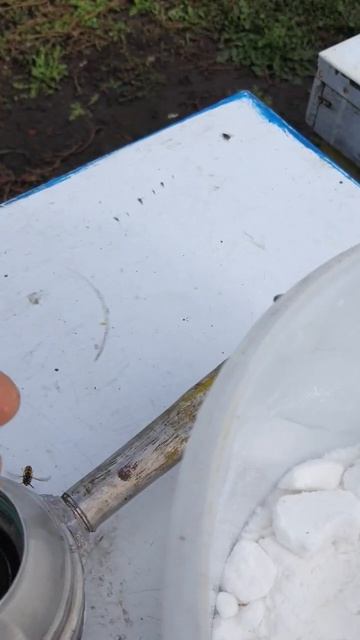 сублиматор 2 часть смотреть онлайн