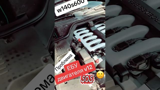 Блоки управления двигателем w140s600 w140 v12 топ mercedes ремонт кабан mer s600 sclass
