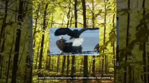 точный астропрогноз на март гороскоп.