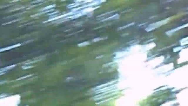 Цветущая долина роз смотреть онлайн