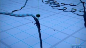 Рождение Океана Научный фильм, 2010