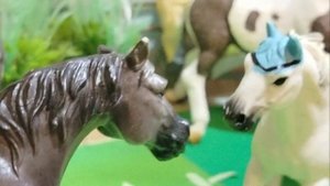 сериал "за вниманием прошлого" ✨🤍🤭 #лошади #фигурки #schleich 🌿🔥🤍