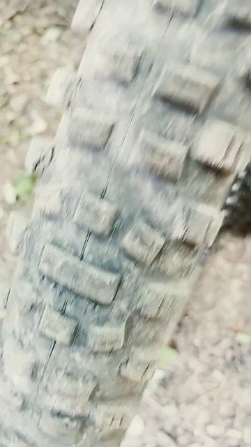 SCHWALBE HANS DAMPF #mtb #shorts смотреть онлайн