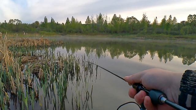 КАРАСЬ НА МОРМЫШИНГ ВЕСНОЙ !!! КАРАСЬ ГНЁТ Dayo Prestige и РВЁТ ЛЕСКУ !!! смотреть онлайн