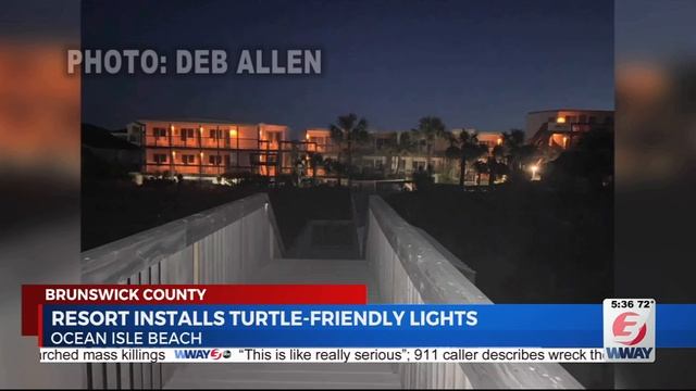 Resort installs sea turtle-friendly lights just in time for nesting season смотреть онлайн