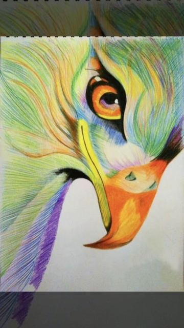 eagle drawing.....