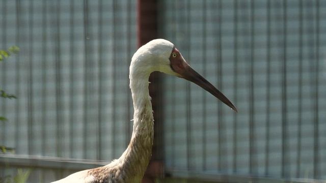 Брыкин Бор смотреть онлайн