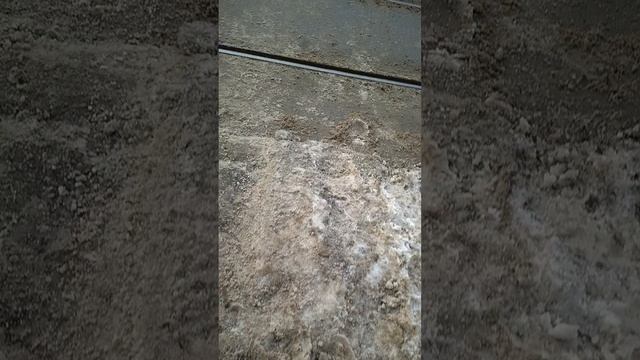 26 февраля 2025 г., 9:15:43
ул. Белинского - переход
VID_20250226_091429230