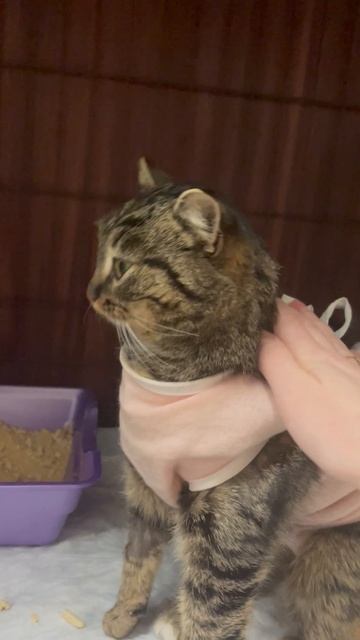 28-02-2025 смотреть онлайн