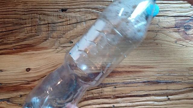 Jak siać nasiona? Plusy i minusy pojemników смотреть онлайн