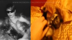 Luka Rocco Magnotta-serial kitten killer evidence video