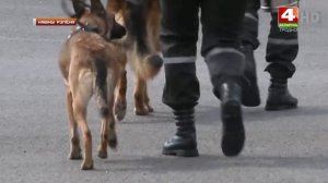 Пограничники задержали мужчину в гидрокостюме и маскхалате. 24.02.2020