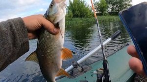 Лучшие ПОППЕРЫ на ГОЛАВЛЯ и ОКУНЯ СЕЗОНА 2023