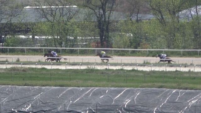 2.05.2018 - Приз "Геналдона" - Барти Эклипс смотреть онлайн