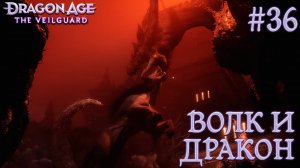 ПРОХОЖДЕНИЕ DRAGON AGE: THE VEILGUARD: Волк и дракон #36