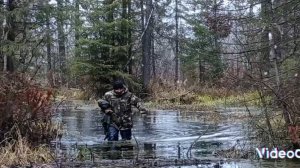 ЛЕСНОЕ ОЗЕРО(НАЦИОНАЛЬНЫЙ ПАРК "САЛАИР") видео от Максима Ульченко