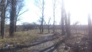 Зугрэс 8 школа.