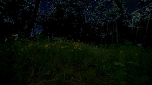 Blissful Retreat: Unwind with the Pure and Calming Sounds of Nature смотреть онлайн