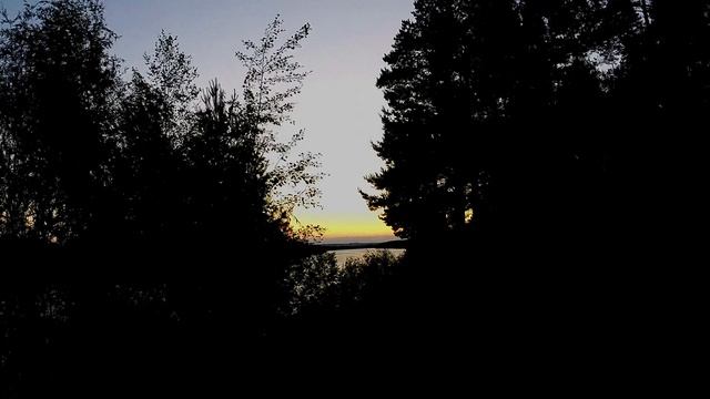 ВЕЧЕР ОТДЫХ СОН цикады. смотреть онлайн