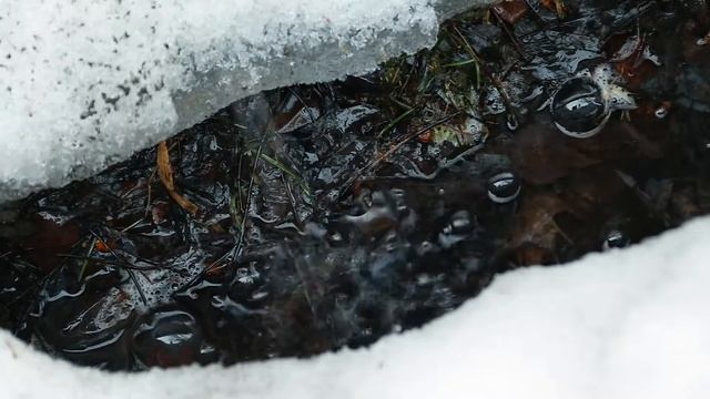 Журчание талой воды. Звуки Сибири смотреть онлайн