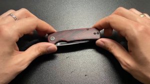 Petrified Fish Beluga Mini - recenzja