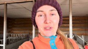 Новости Молодой фермы! Наша жизнь в деревне!