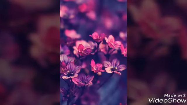 Новый мини клип для вас!!! смотреть онлайн