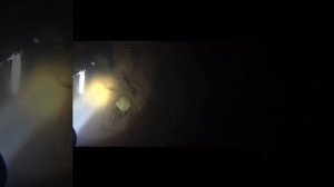 Рыбалка и подводная охота на Нерли.