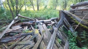 Покинутая деревня Чибриковская (Шабалинский район, Кировская область)