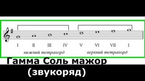 Тетрахорд