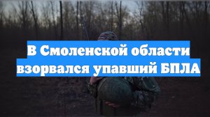 В Смоленской области взорвался упавший БПЛА