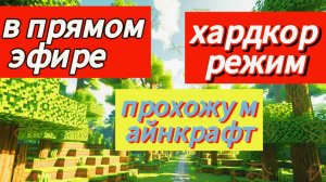 прохожу маинкрафт