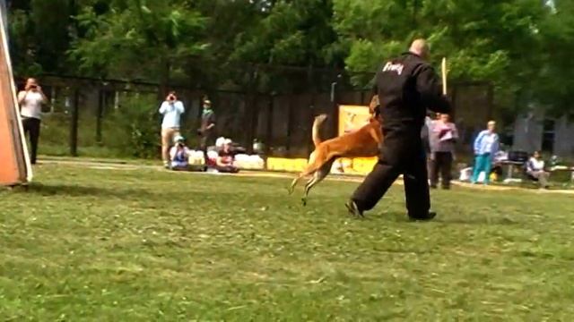 Бэст 3 упр смотреть онлайн